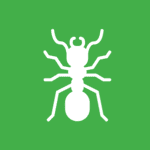 white vector image of fire ant on green background